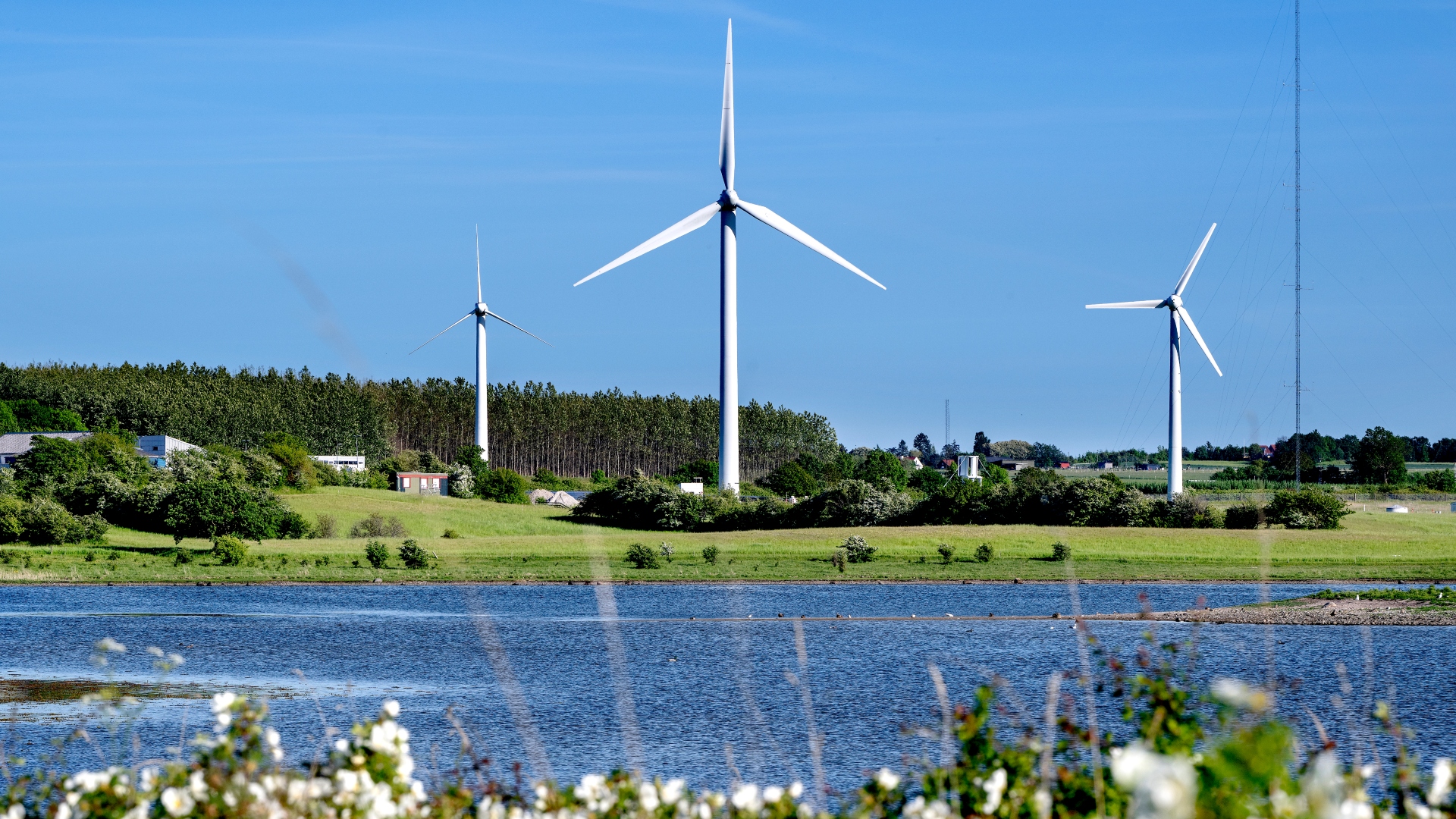Vindmøller på Risø campus lige ved Roskilde Fjord